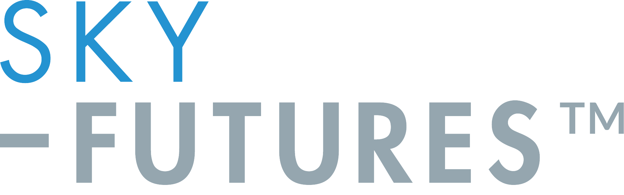 Sky-Futures Logo
